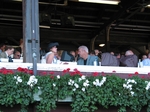 Parcells 1